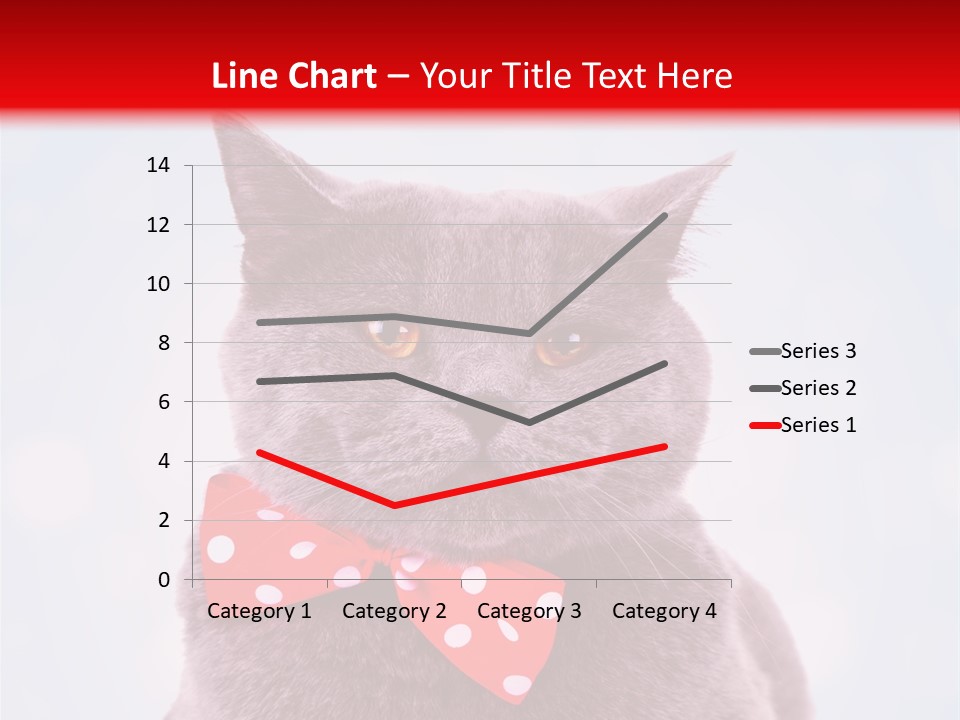 Whisker Kitten Isolated PowerPoint Template
