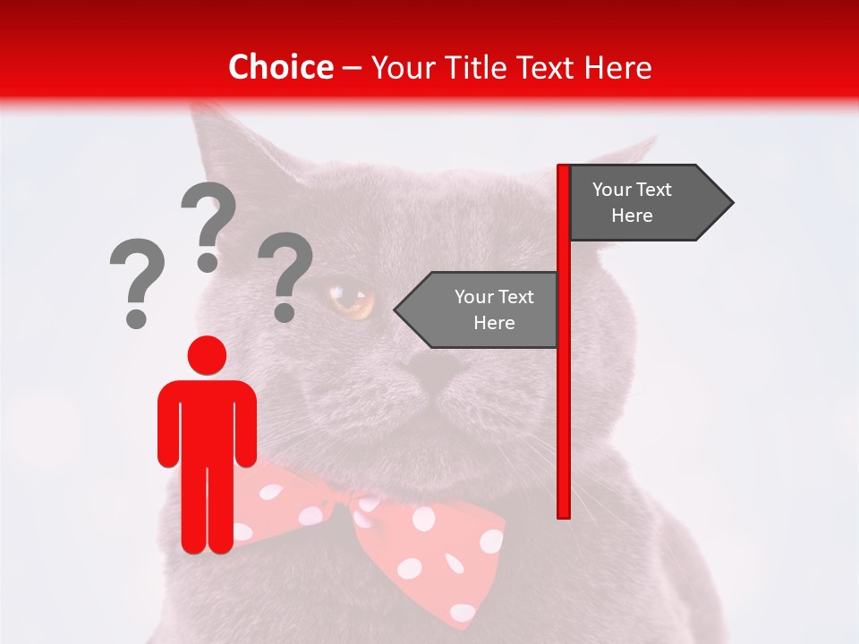 Whisker Kitten Isolated PowerPoint Template
