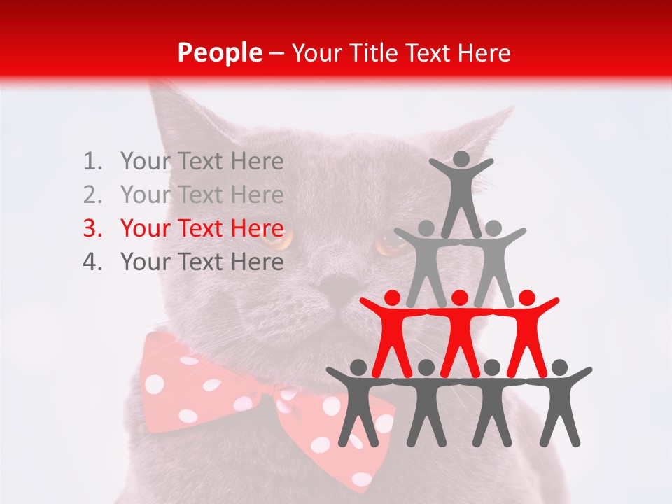 Whisker Kitten Isolated PowerPoint Template