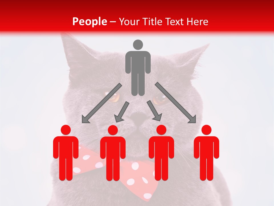 Whisker Kitten Isolated PowerPoint Template