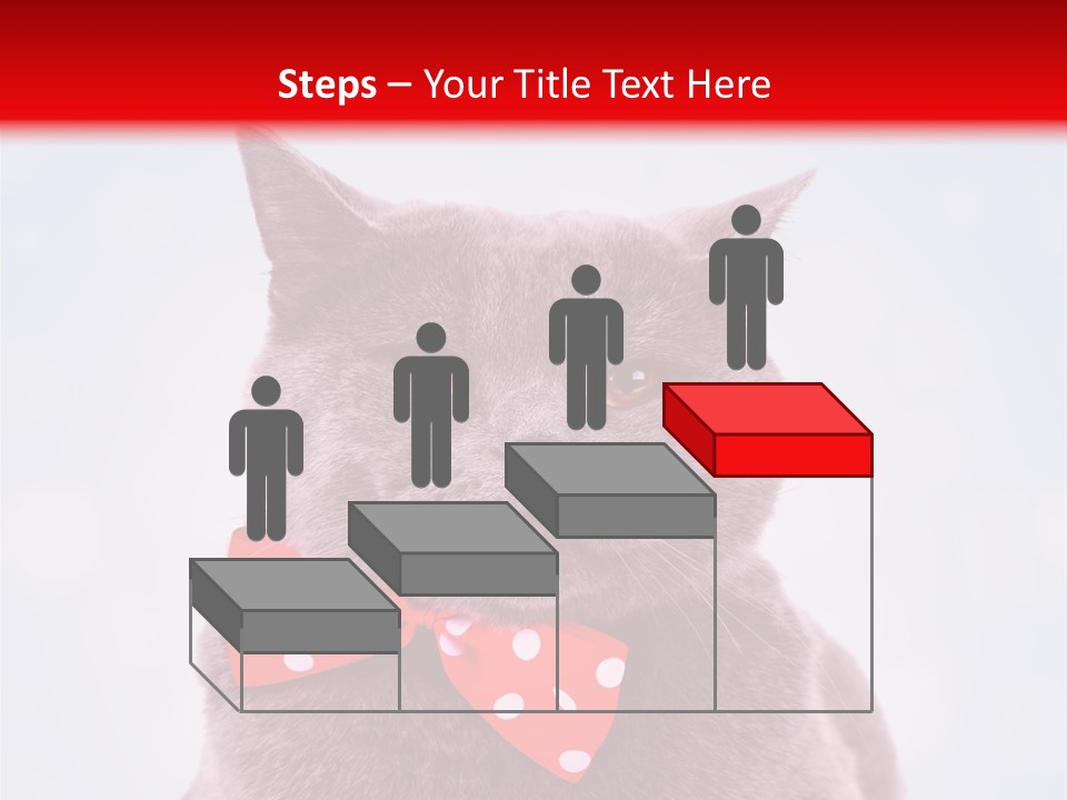 Whisker Kitten Isolated PowerPoint Template