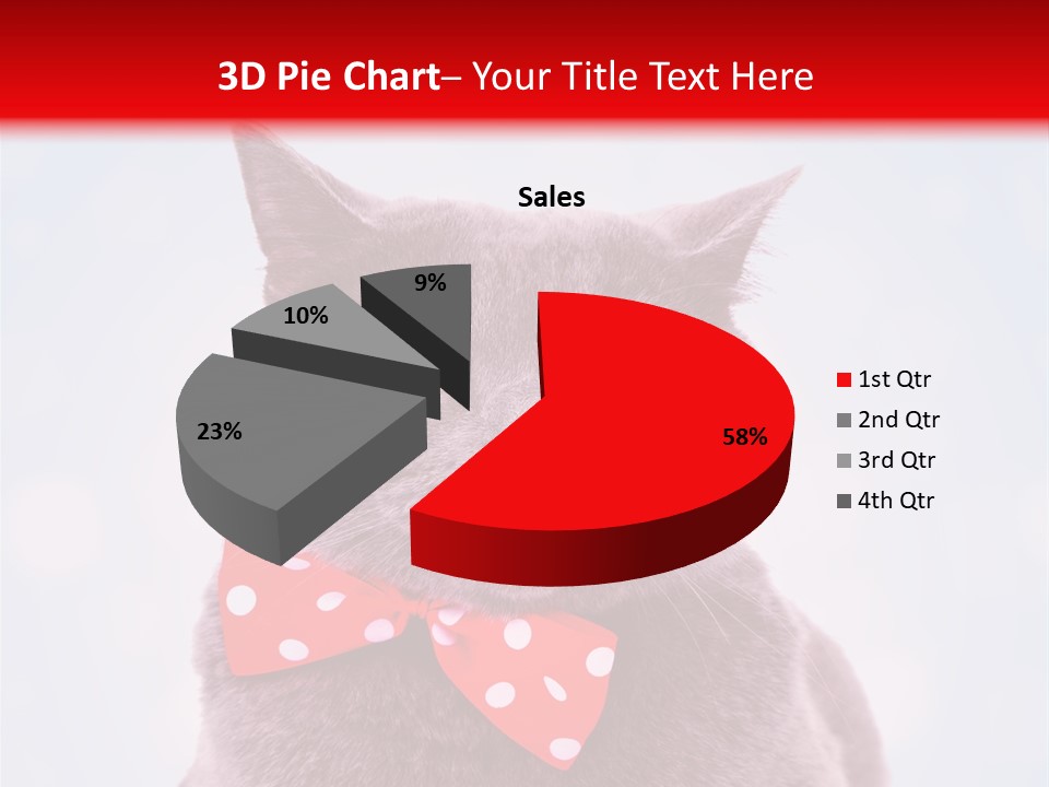 Whisker Kitten Isolated PowerPoint Template