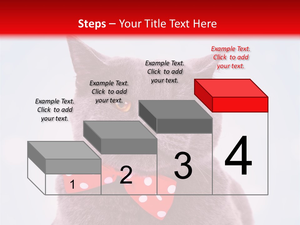 Whisker Kitten Isolated PowerPoint Template