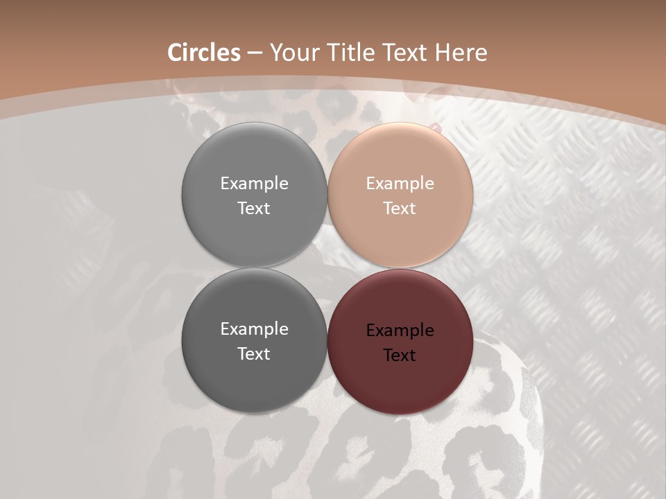 Model Animal Sensuality PowerPoint Template