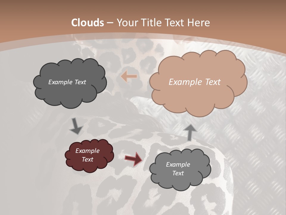 Model Animal Sensuality PowerPoint Template