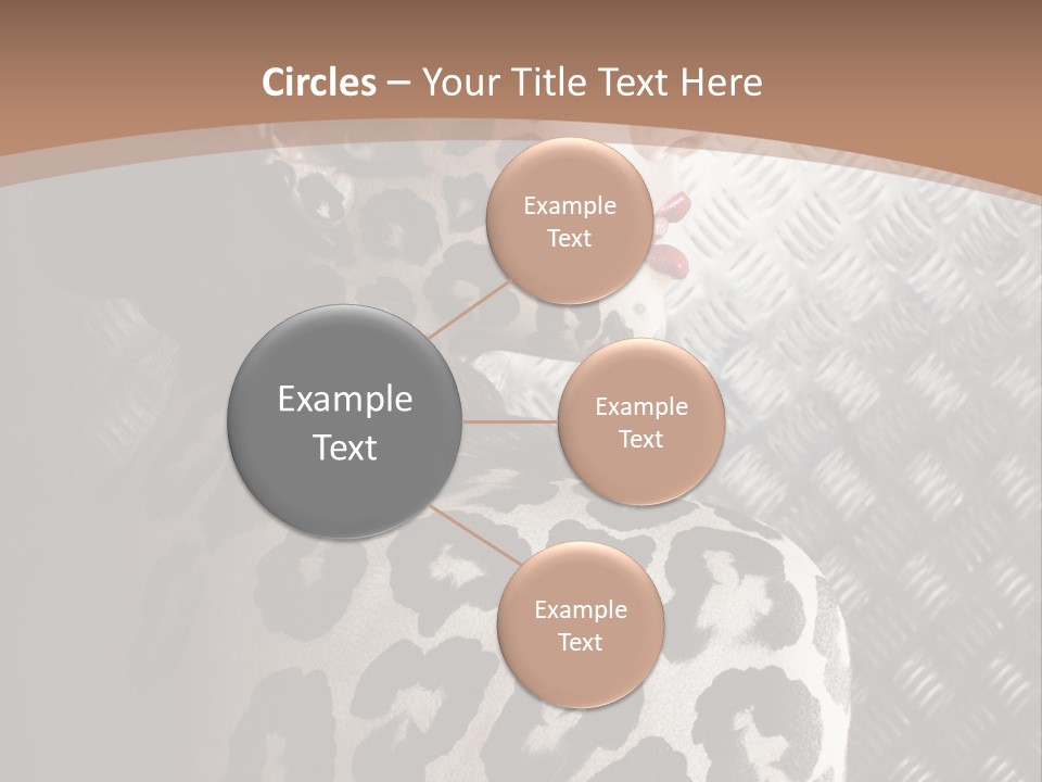 Model Animal Sensuality PowerPoint Template