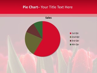 Writing People Company PowerPoint Template