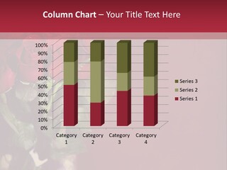 Romantic Color Vase PowerPoint Template