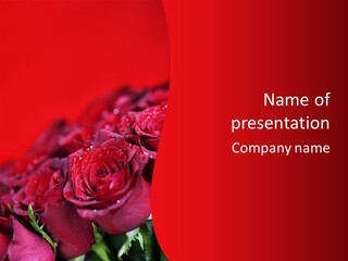 Blossom Sensual Romance PowerPoint Template