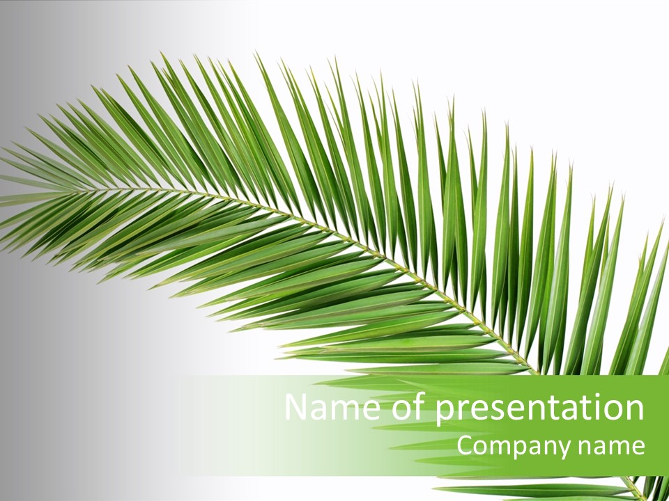 Tropical Pattern Background PowerPoint Template