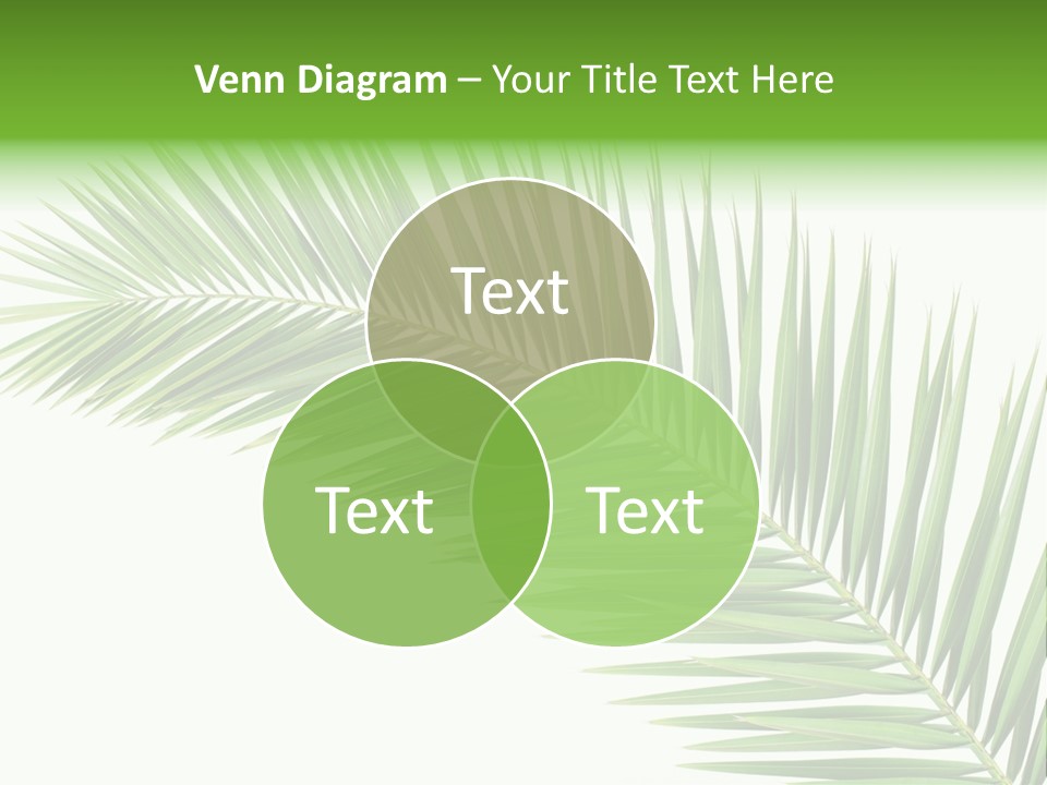 Tropical Pattern Background PowerPoint Template