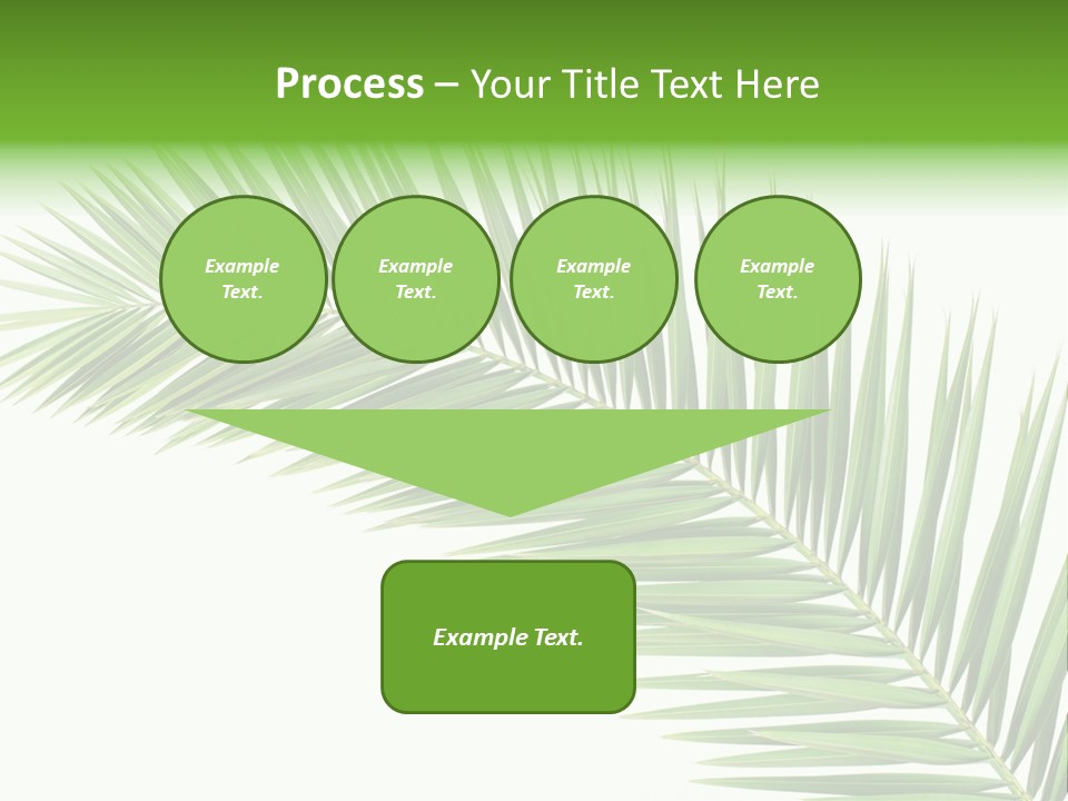 Tropical Pattern Background PowerPoint Template