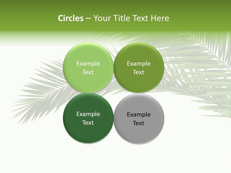 Vein Pattern Cycad PowerPoint Template
