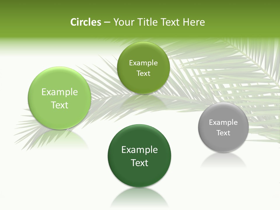 Vein Pattern Cycad PowerPoint Template