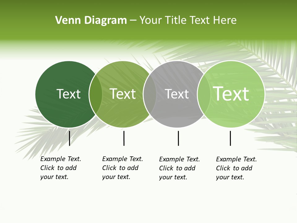 Vein Pattern Cycad PowerPoint Template