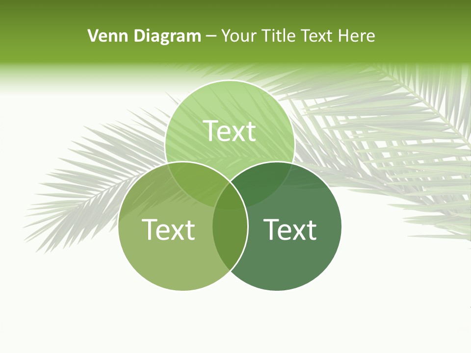 Vein Pattern Cycad PowerPoint Template