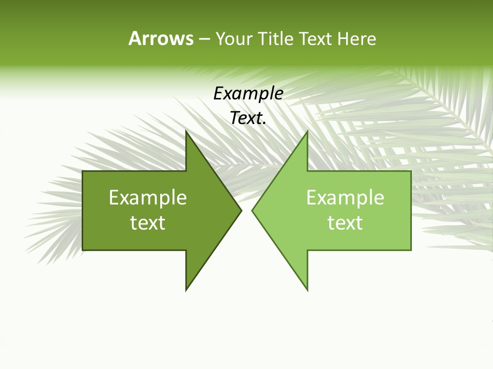 Vein Pattern Cycad PowerPoint Template