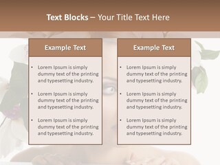 Beautiful Egg White PowerPoint Template
