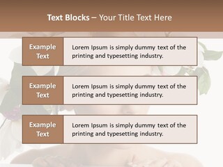 Beautiful Egg White PowerPoint Template