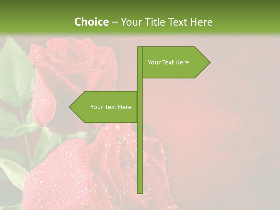 Communication Profe Ional Li Ten PowerPoint Template