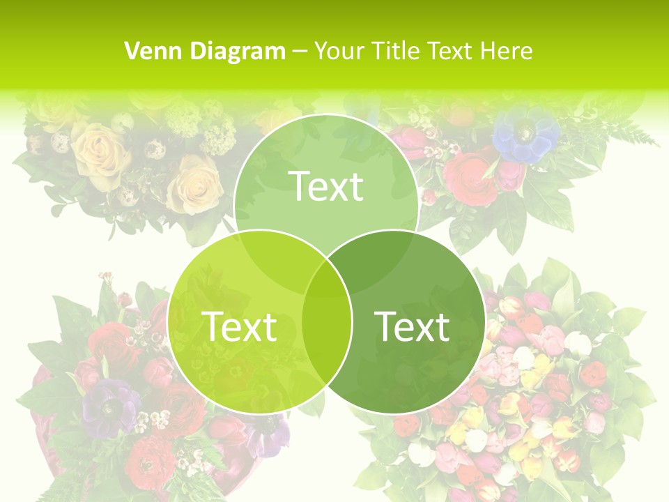 Leaf Tulip Colorful PowerPoint Template