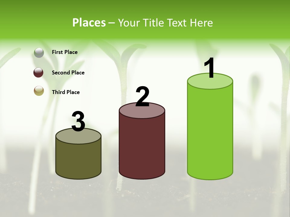 Life Care Develop PowerPoint Template