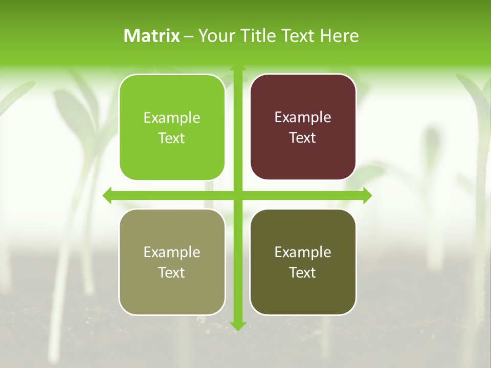 Life Care Develop PowerPoint Template