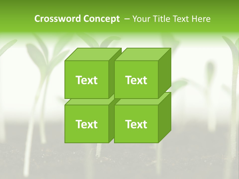 Life Care Develop PowerPoint Template