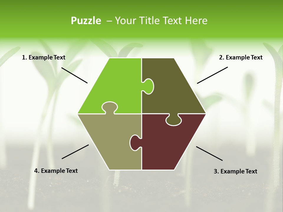 Life Care Develop PowerPoint Template