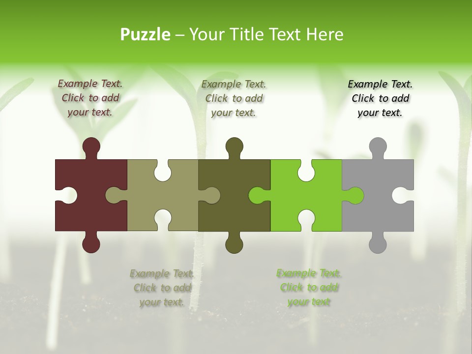 Life Care Develop PowerPoint Template