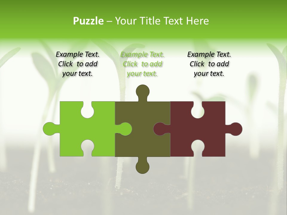 Life Care Develop PowerPoint Template