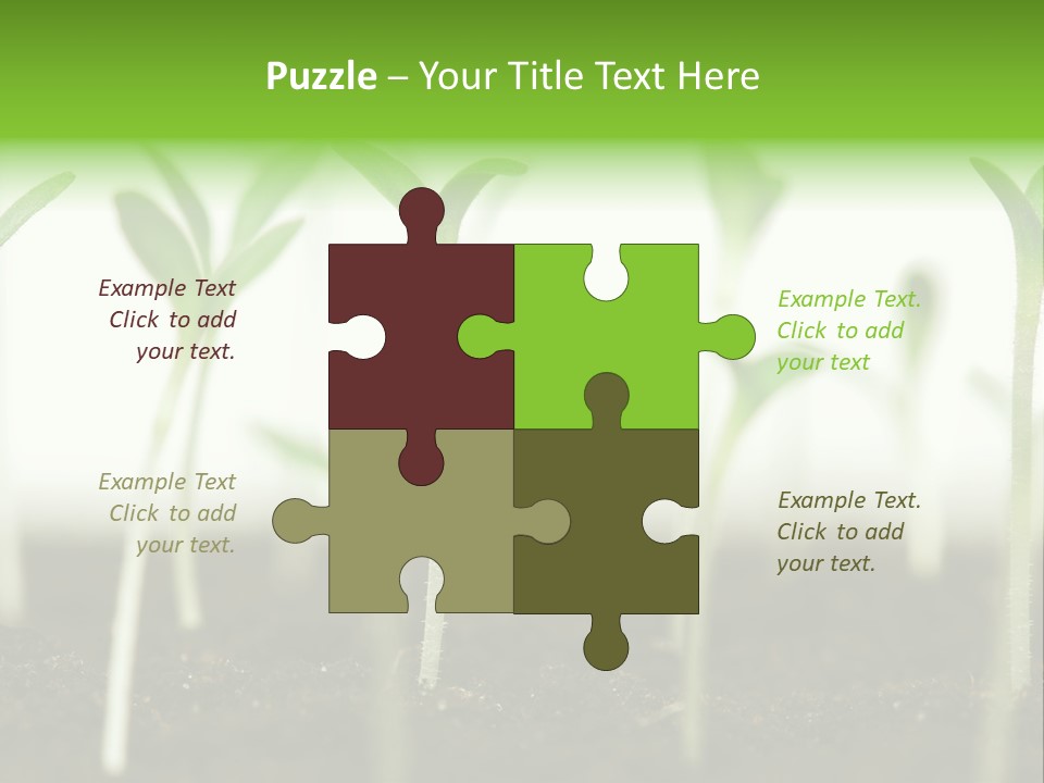 Life Care Develop PowerPoint Template