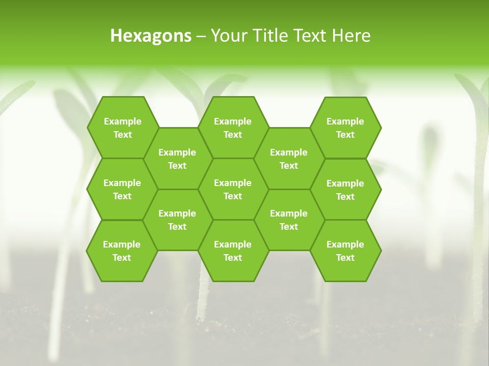 Life Care Develop PowerPoint Template