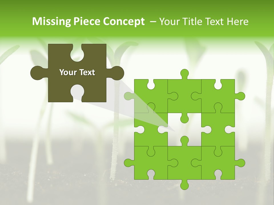 Life Care Develop PowerPoint Template