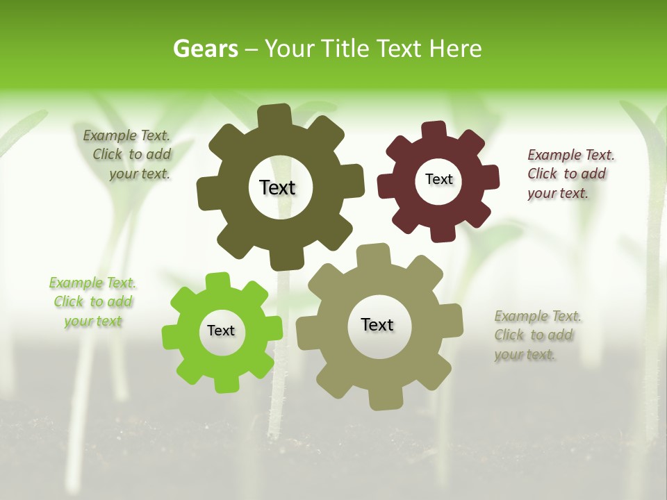 Life Care Develop PowerPoint Template