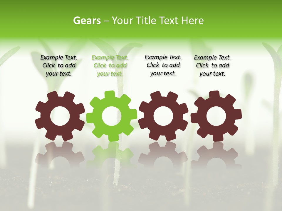 Life Care Develop PowerPoint Template