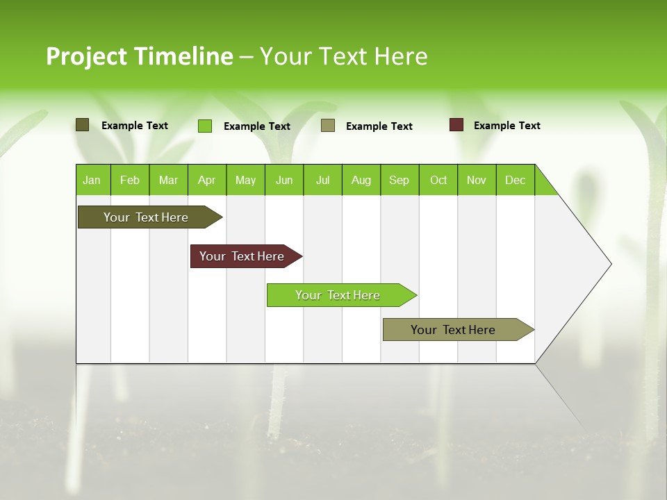 Life Care Develop PowerPoint Template