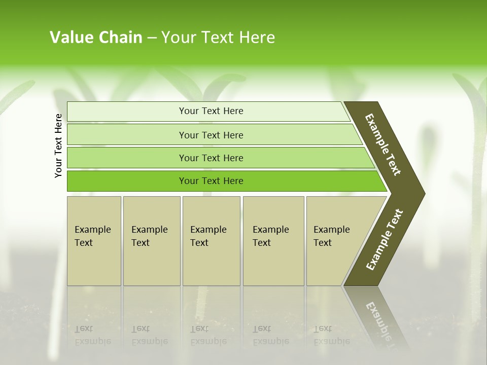 Life Care Develop PowerPoint Template