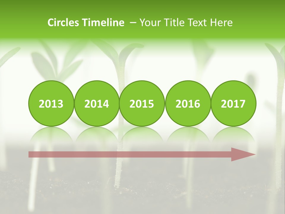 Life Care Develop PowerPoint Template