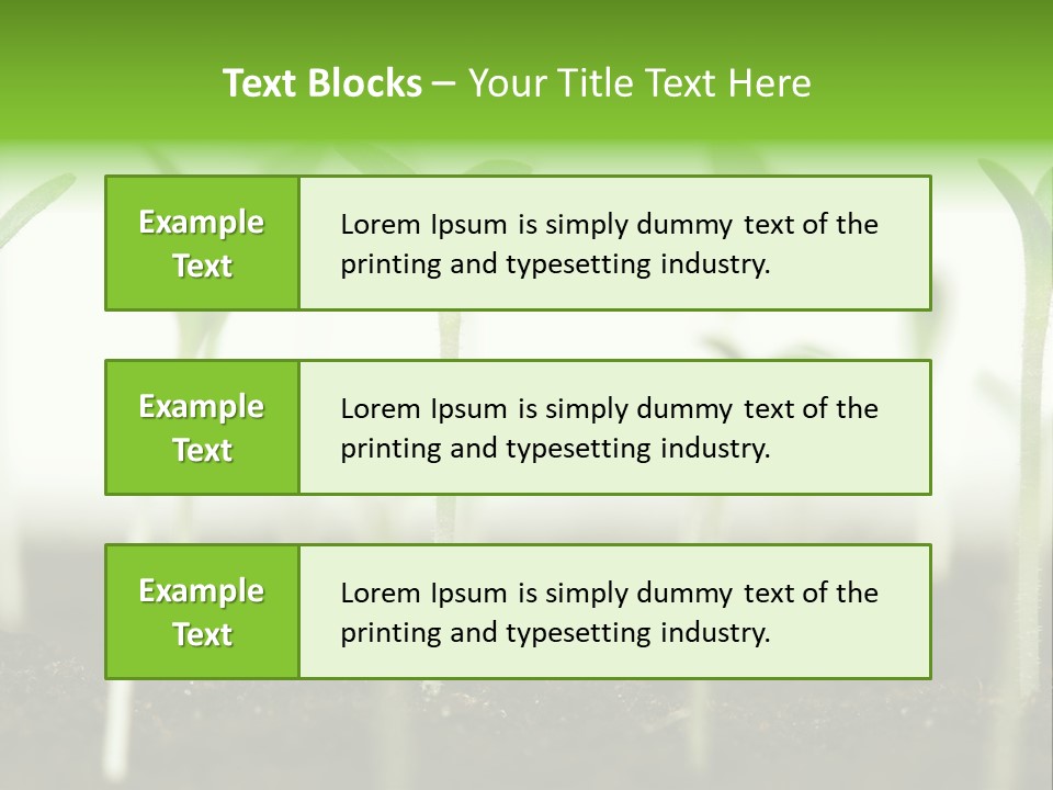 Life Care Develop PowerPoint Template
