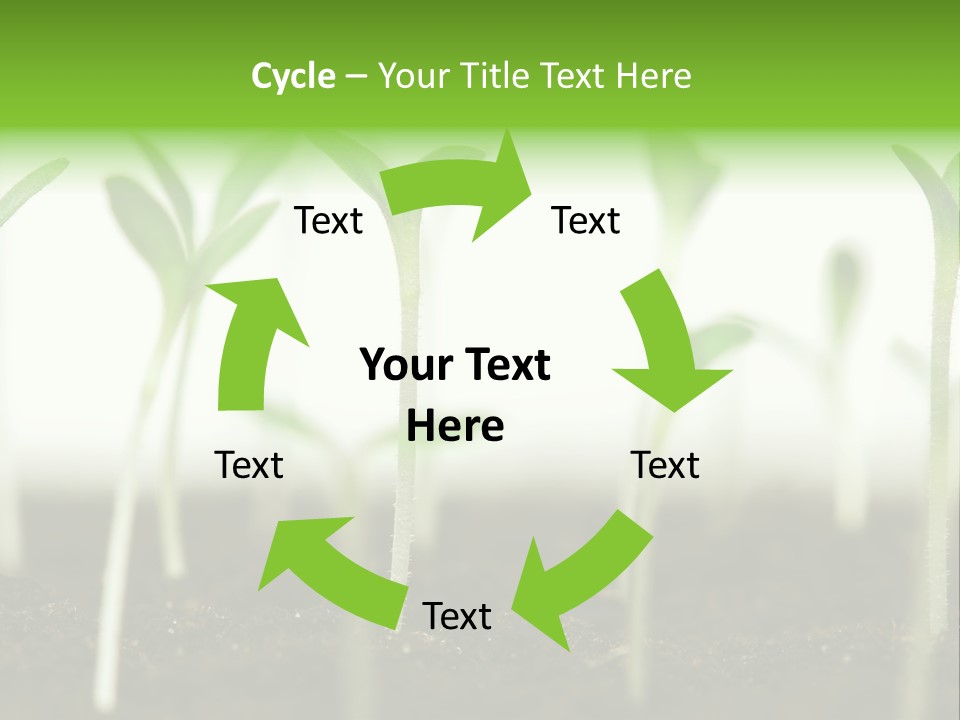 Life Care Develop PowerPoint Template