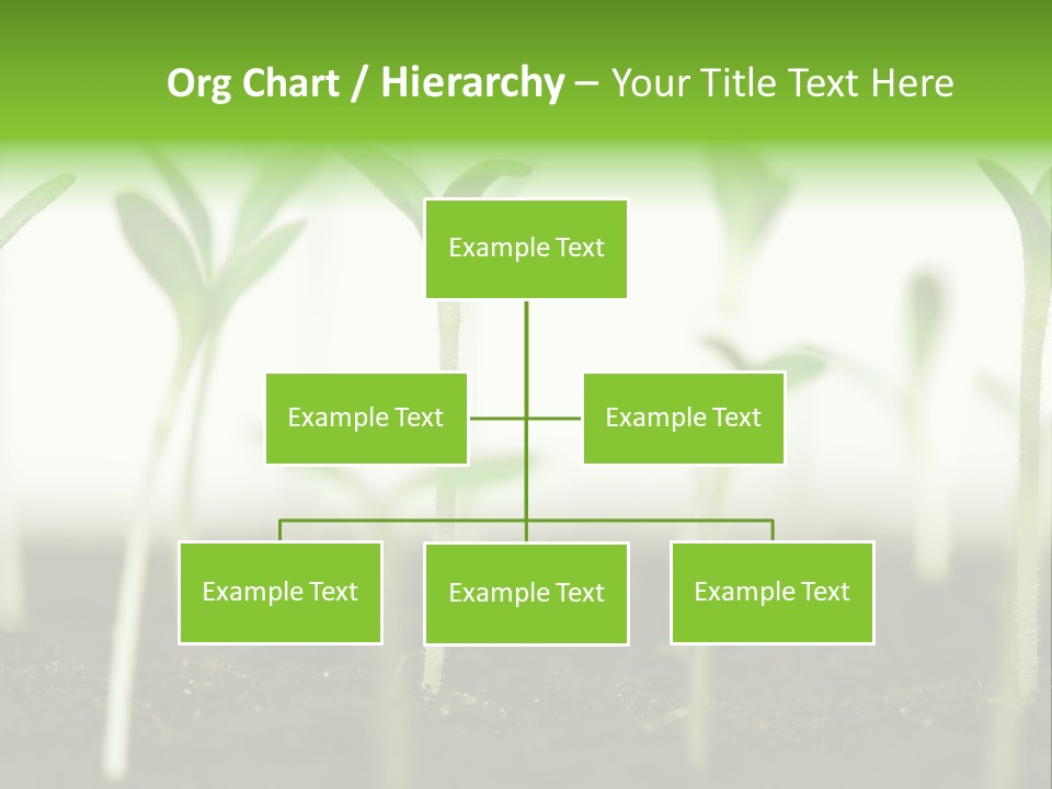Life Care Develop PowerPoint Template