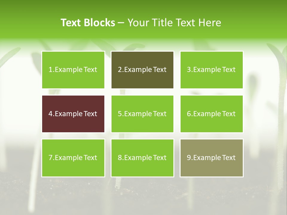 Life Care Develop PowerPoint Template