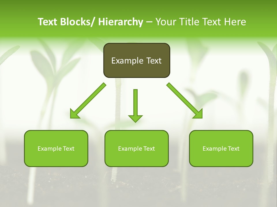 Life Care Develop PowerPoint Template