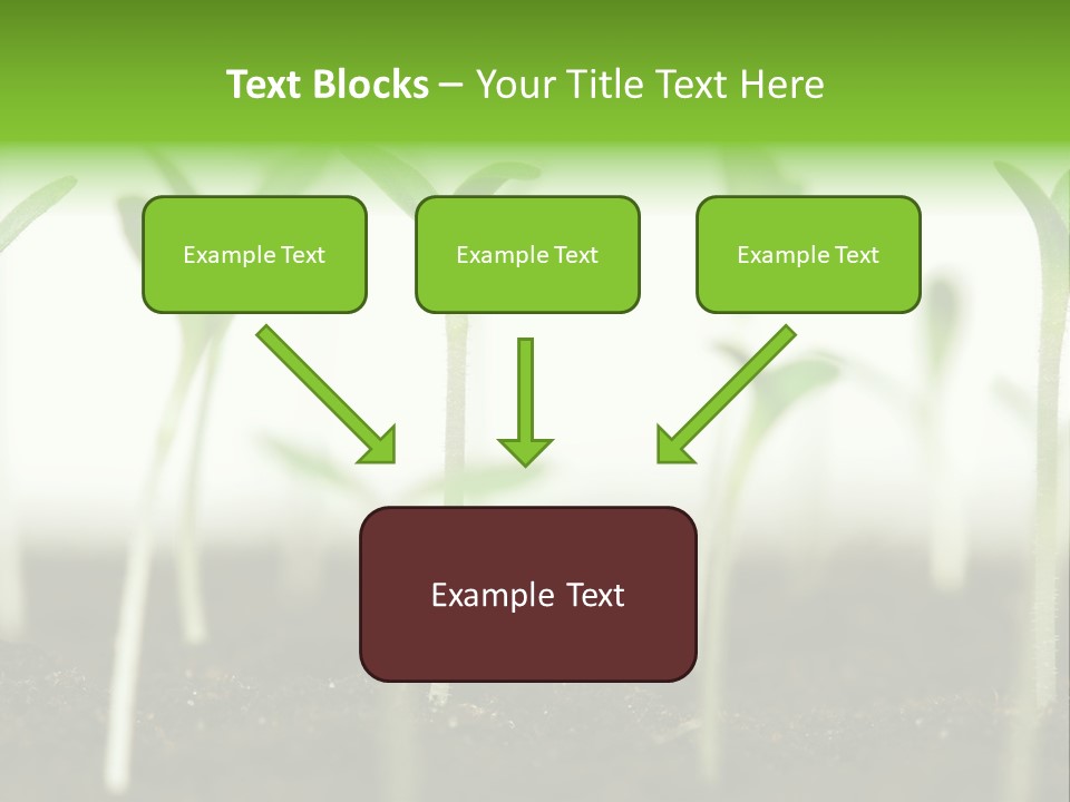Life Care Develop PowerPoint Template