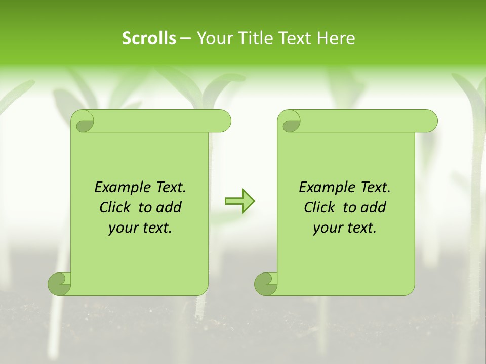 Life Care Develop PowerPoint Template