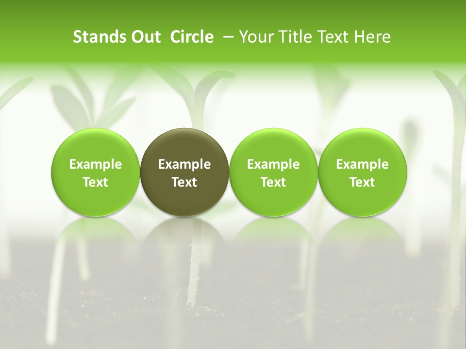 Life Care Develop PowerPoint Template