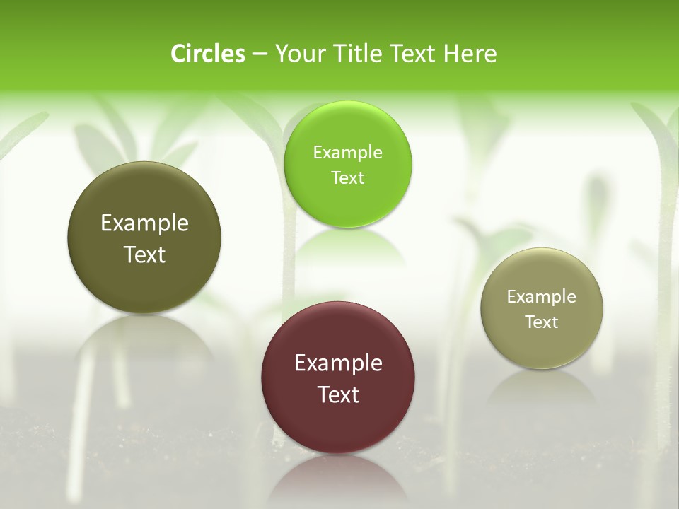 Life Care Develop PowerPoint Template
