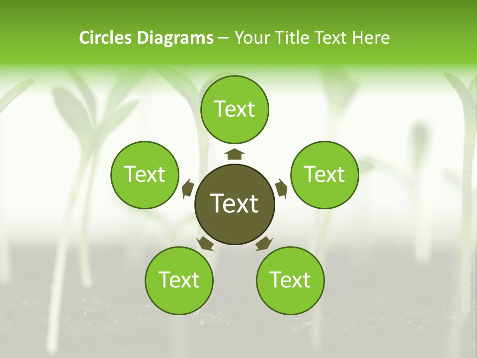 Life Care Develop PowerPoint Template