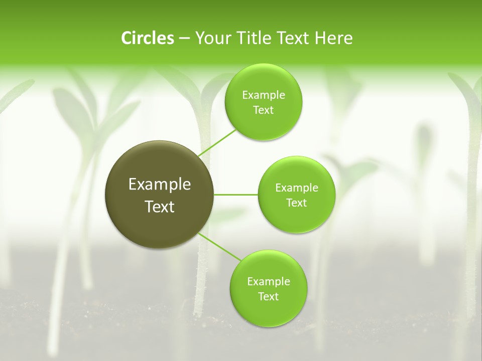 Life Care Develop PowerPoint Template